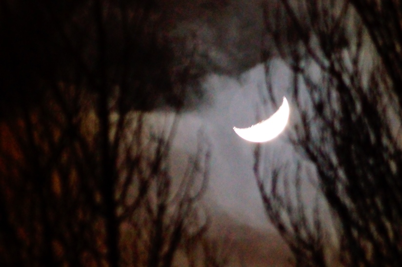 Clouds, A Crescent Moon and Trees - photo by Christopher J Cart  ©2013