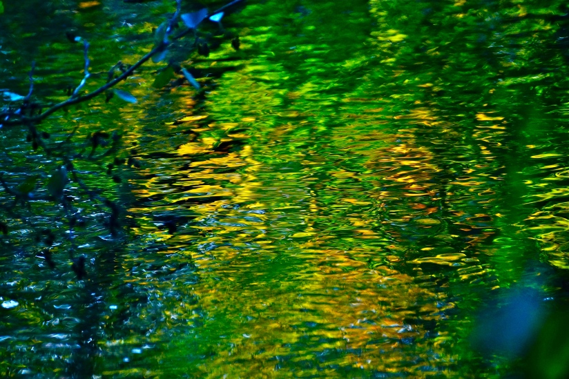 Ripple on Autumn's Pond - photo ©Christopher J Cart 2014